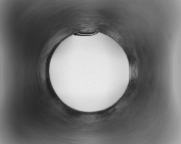 X0000095920291200802081119