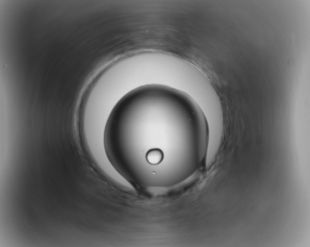 X0000095920292200802081119