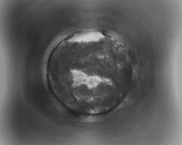 X0000095920293200802081119