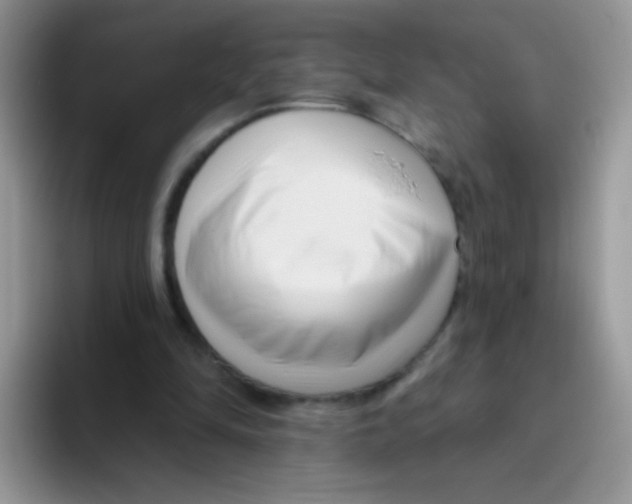 X0000095920294200802081119