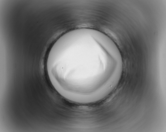 X0000095920298200802081119