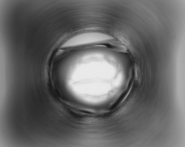 X0000095920300200802081119