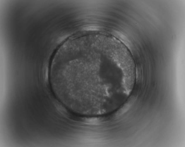 X0000095920301200802081119