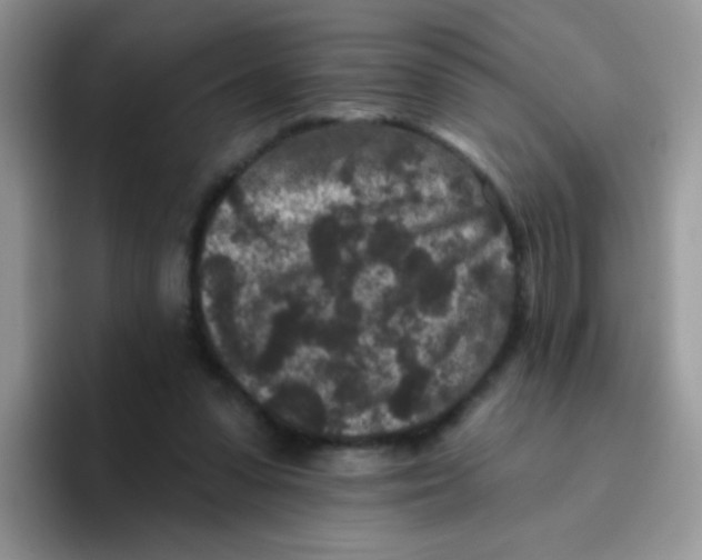 X0000095920303200802081118