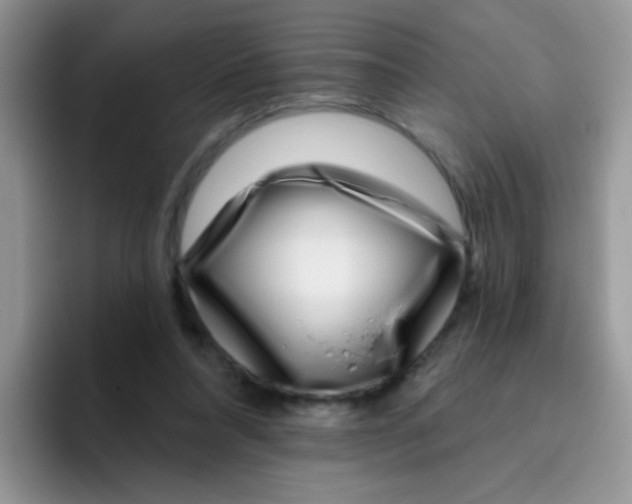 X0000095920304200802081118