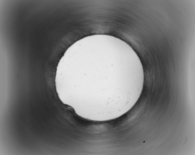 X0000095920307200802081118