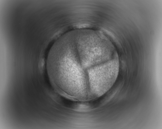 X0000095920308200802081118