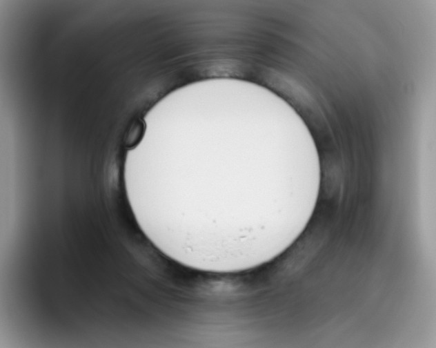 X0000095920310200802081118