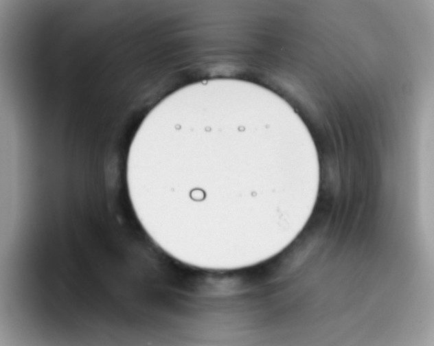 X0000095920311200802081118