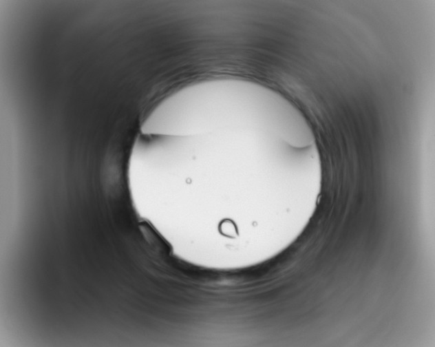 X0000095920312200802081118