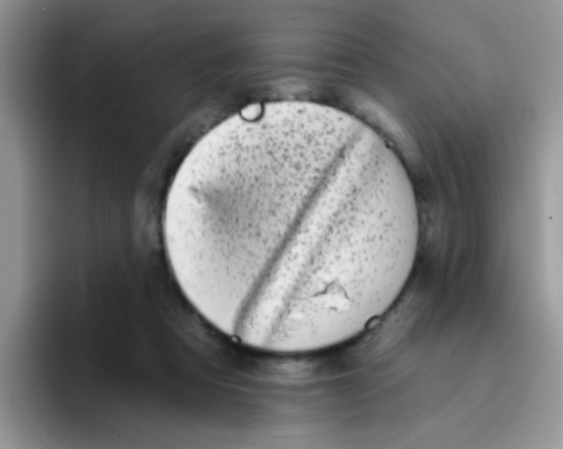 X0000095920313200802081118