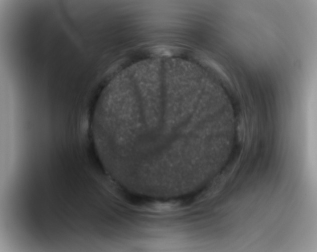 X0000095920314200802081118