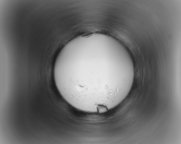 X0000095920315200802081118