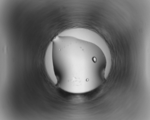 X0000095920316200802081118