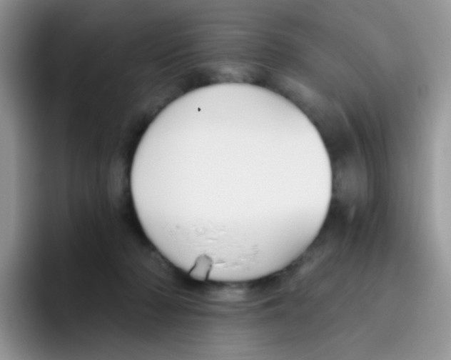 X0000095920318200802081118