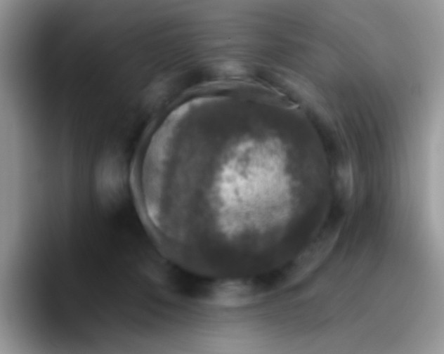 X0000095920320200802081118