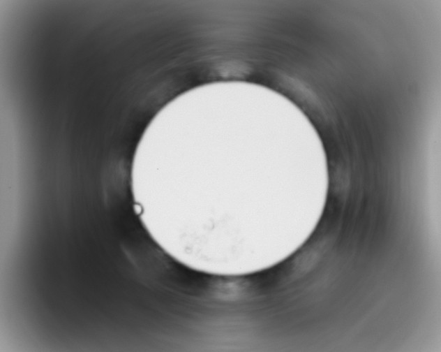 X0000095920321200802081118