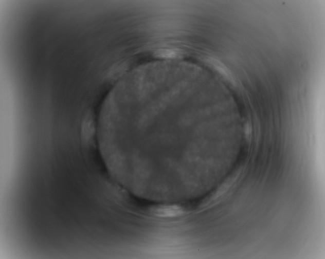 X0000095920322200802081118