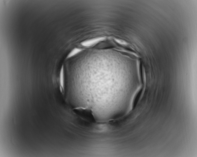 X0000095920324200802081118