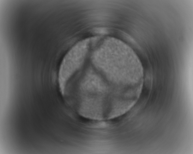 X0000095920330200802081118