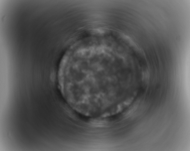 X0000095920331200802081118