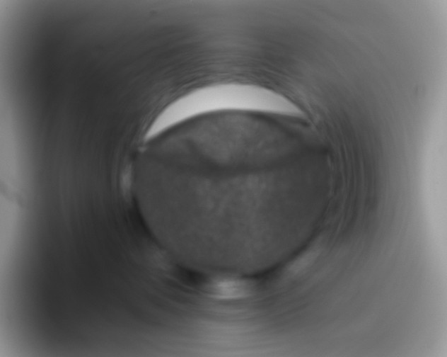 X0000095920336200802081118