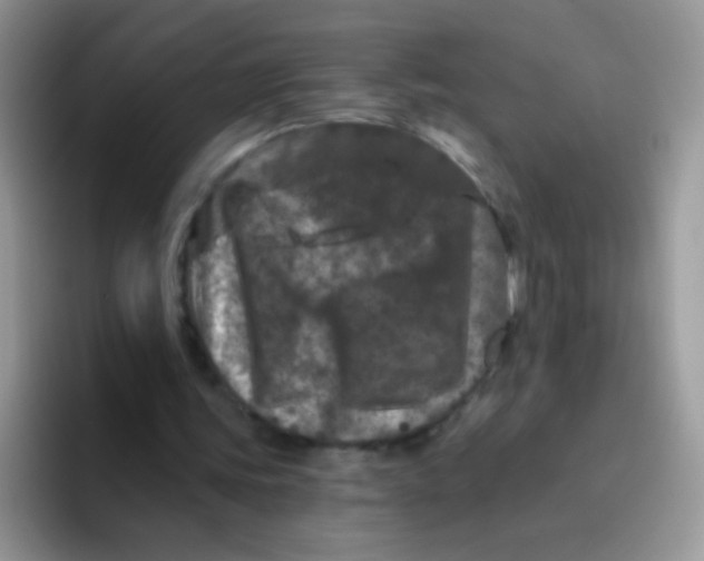 X0000095920339200802081117