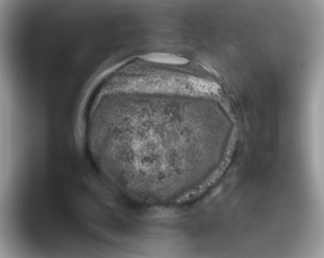 X0000095920343200802081118