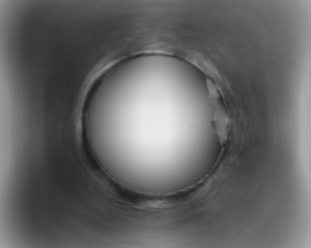 X0000095920344200802081118