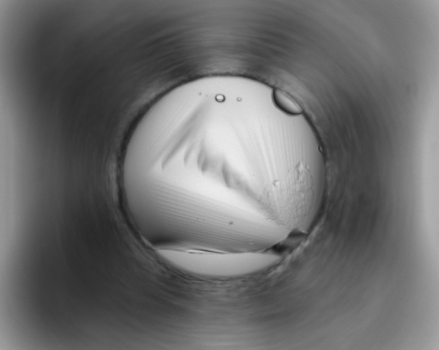 X0000095920345200802081118