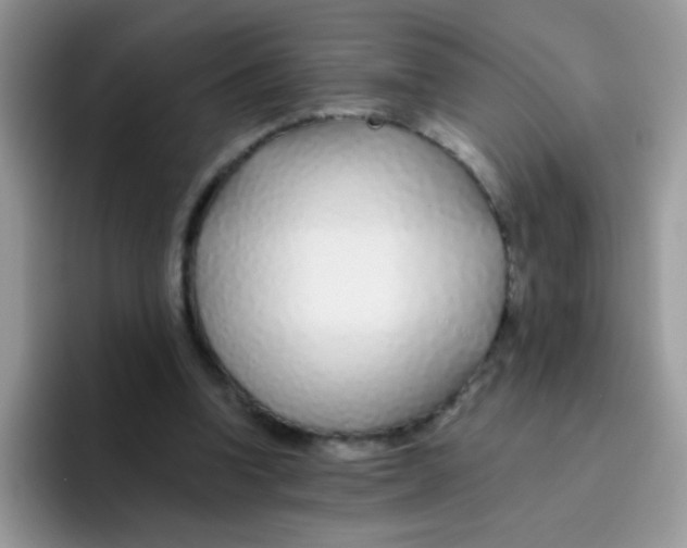 X0000095920346200802081118