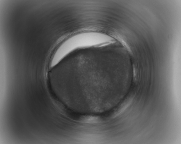 X0000095920348200802081118