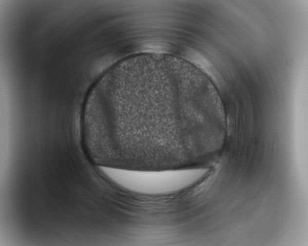 X0000095920349200802081118