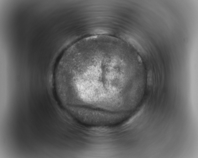 X0000095920351200802081118