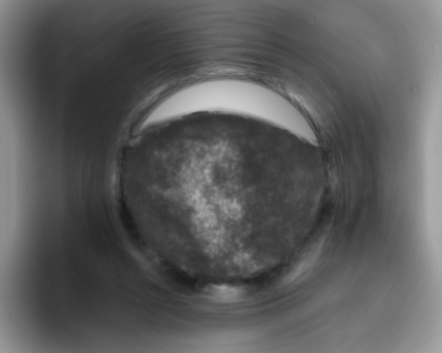 X0000095920352200802081118