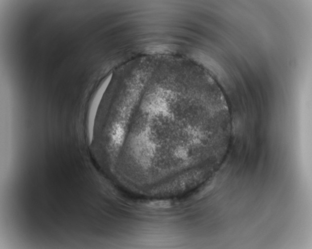 X0000095920353200802081118