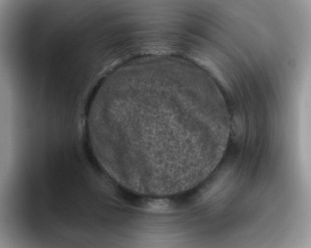 X0000095920355200802081118