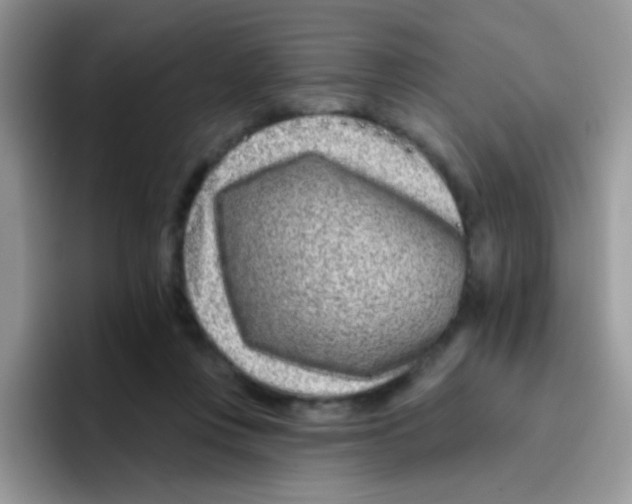 X0000095920359200802081118