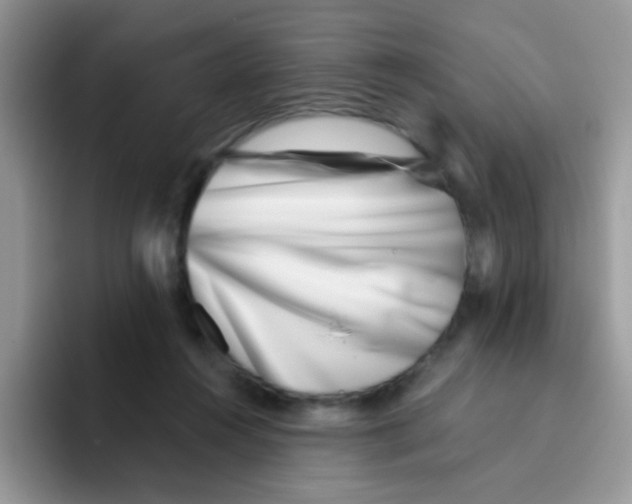 X0000095920360200802081118