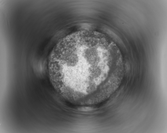 X0000095920361200802081118