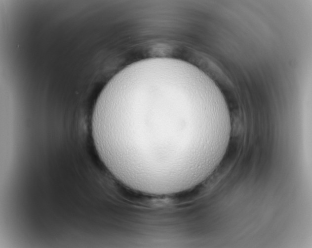 X0000095920363200802081118