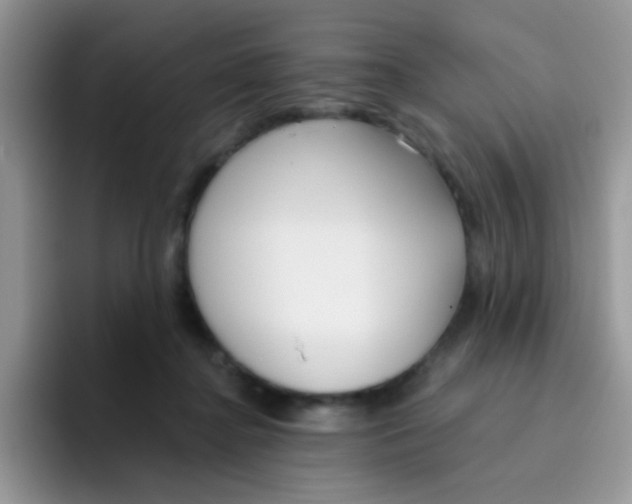 X0000095920364200802081118