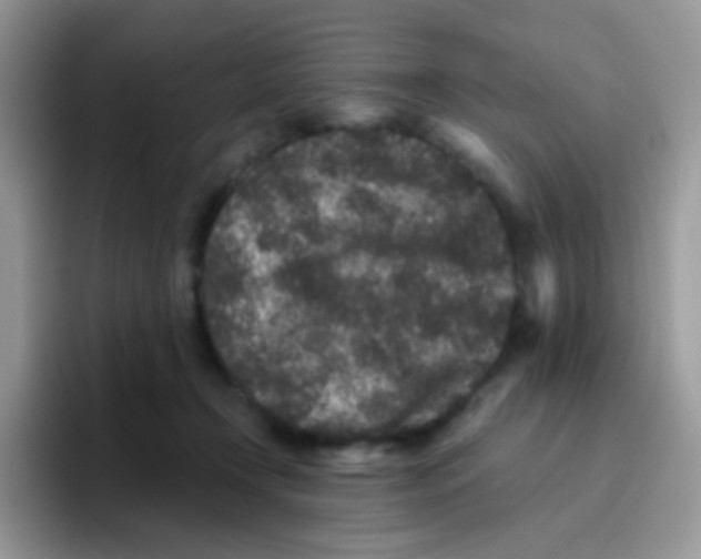 X0000095920366200802081118