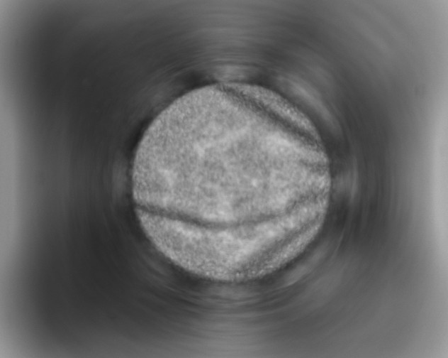 X0000095920367200802081118