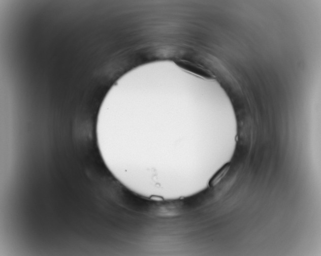 X0000095920368200802081118