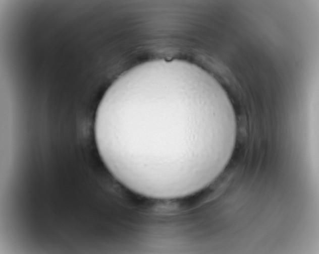 X0000095920369200802081118