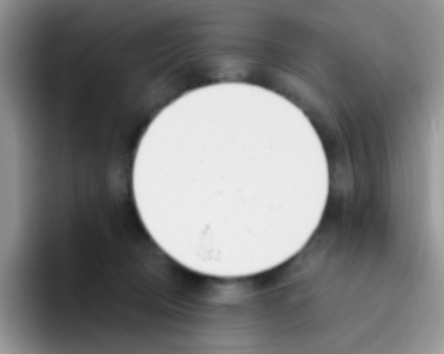 X0000095920370200802081118