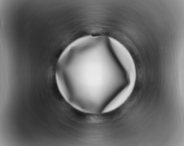 X0000095920372200802081118