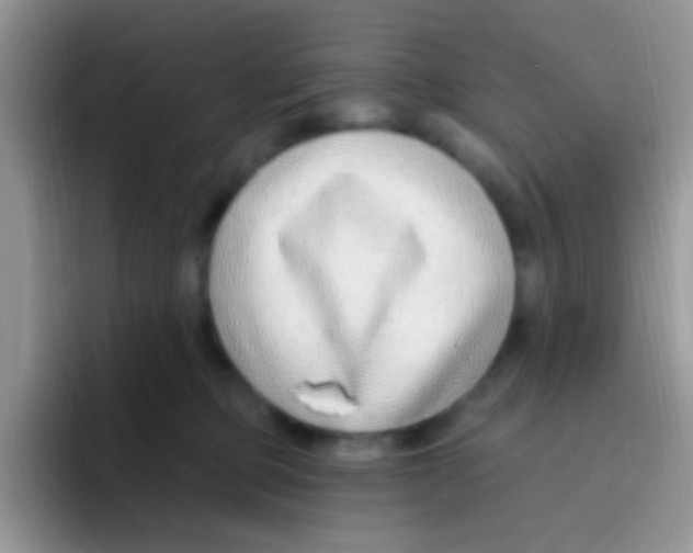 X0000095920373200802081118