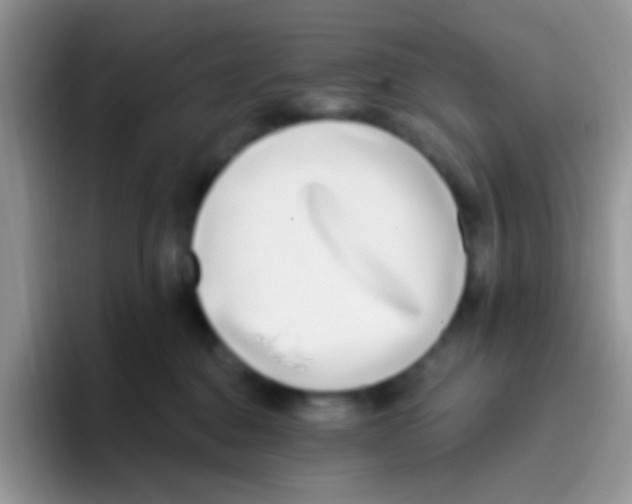 X0000095920376200802081118